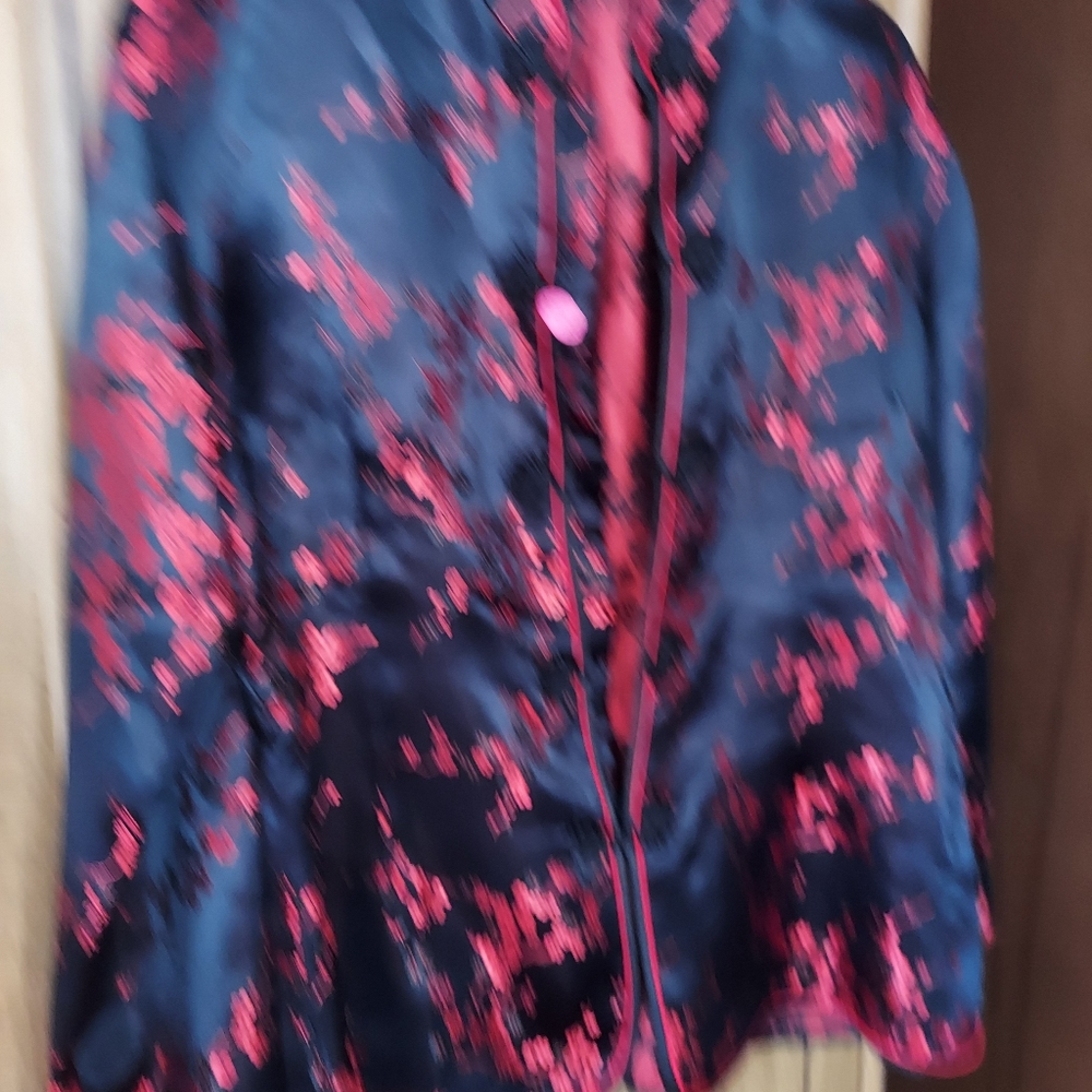Chinese Silk Blouse large Brand New